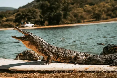© Seronera Crocodile Farm